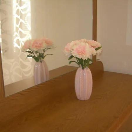 Apartamento Ravkin Centar *