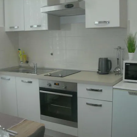 Ravkin Centar Apartamento *